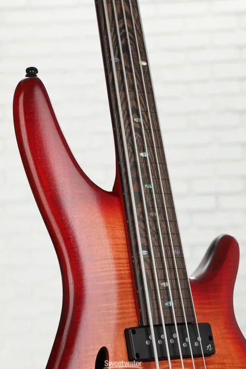  NEW
? Ibanez SR Bass Workshop Fretless 5-string Electric Bass - Brown Topaz Burst Low Gloss