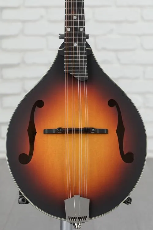 NEW
? Eastman Guitars MD305E A-style Acoustic-electric Mandolin - Sunburst