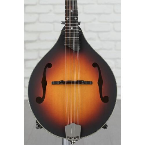  NEW
? Eastman Guitars MD305E A-style Acoustic-electric Mandolin - Sunburst