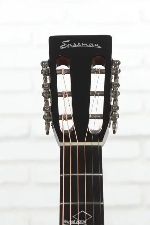  NEW
? Eastman Guitars E22 