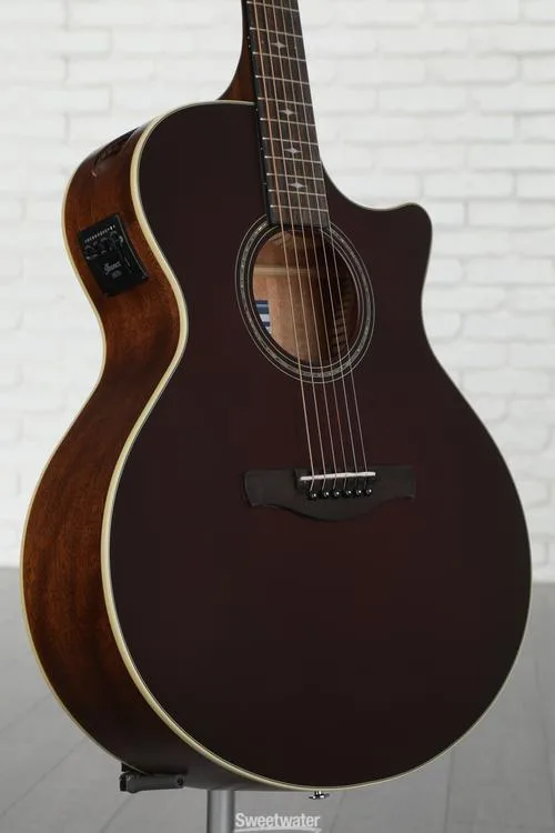 NEW
? Ibanez AE100 Acoustic-electric Guitar - Burgandy Flat