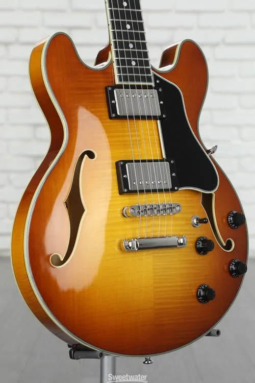  NEW
? Eastman Guitars T484-GB Thinline Semi-hollowbody Electric Guitar - Goldburst