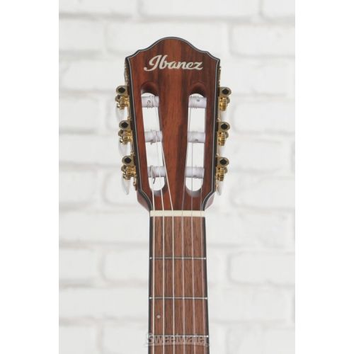  NEW
? Ibanez FRH10NIBF Thinline Nylon Acoustic-electric Guitar - Indigo Blue Metallic Flat