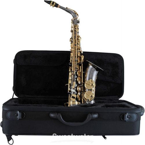  NEW
? Selmer SAS511 Intermediate Alto Saxophone - Black Nickel