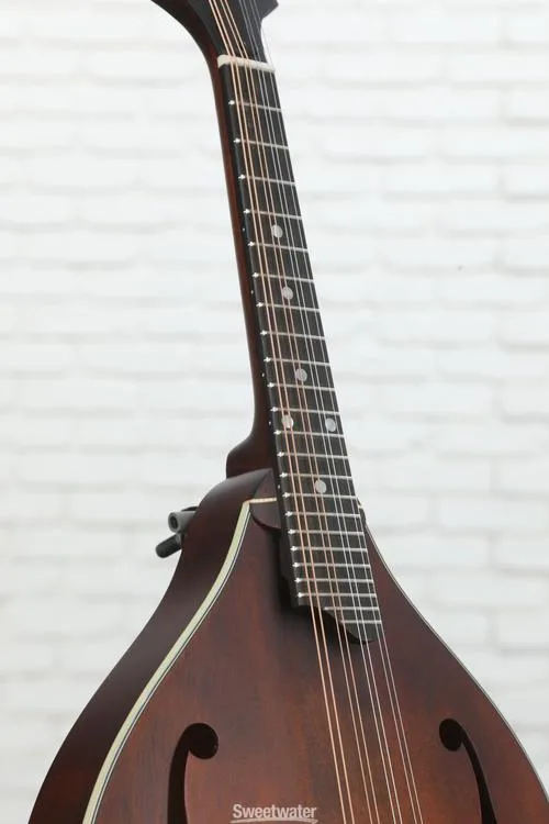  NEW
? Eastman Guitars MD305 A-style Mandolin - Classic