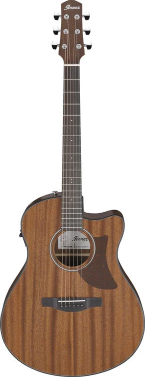  NEW
? Ibanez AAM54CEOPN Advanced Acoustic Auditorium Acoustic-electric Guitar - Natural