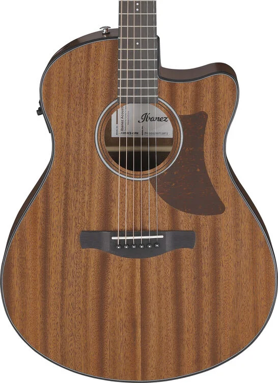  NEW
? Ibanez AAM54CEOPN Advanced Acoustic Auditorium Acoustic-electric Guitar - Natural