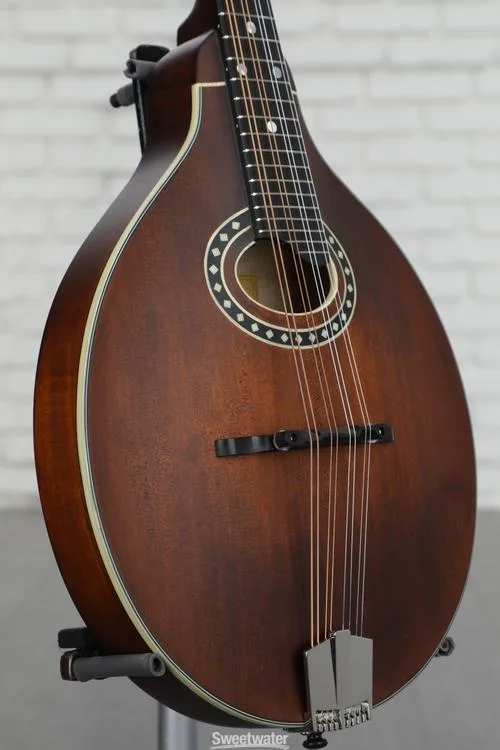  NEW
? Eastman Guitars MD304 A-style Mandolin - Classic