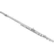 NEW
? Wm. S. Haynes AF480 Amadeus Student Flute with Offset G and C Footjoint