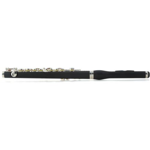  NEW
? Di Zhao Flutes DZP 102 Student Piccolo