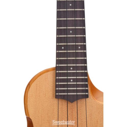  NEW
? Ibanez AU Concert Acoustic-electric Ukulele - Natural