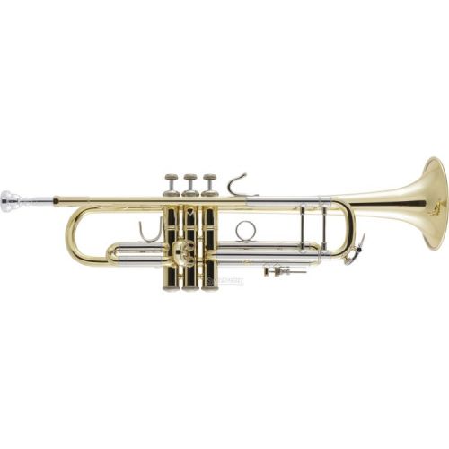  NEW
? Bach 18043 Stradivarius Professional Bb Trumpet - Clear Lacquer