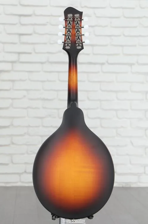  NEW
? Eastman Guitars MD304E A-style Acoustic-electric Mandolin - Sunburst