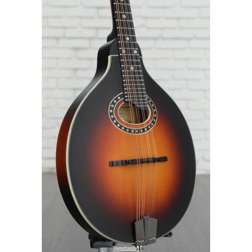  NEW
? Eastman Guitars MD304E A-style Acoustic-electric Mandolin - Sunburst