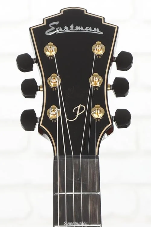  NEW
? Eastman Guitars AR480CE John Pisano 30th-anniversary Edition Archtop Hollowbody Electric Guitar - Sunburst