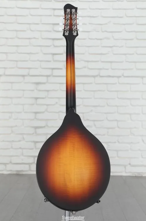  NEW
? Eastman Guitars MDO305E A-style Acoustic-electric Octave Mandolin - Sunburst