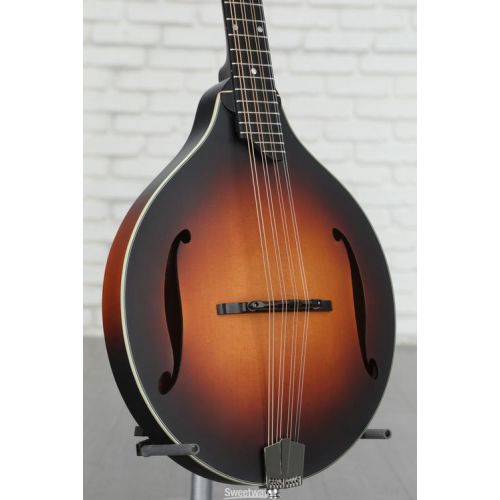  NEW
? Eastman Guitars MDO305E A-style Acoustic-electric Octave Mandolin - Sunburst