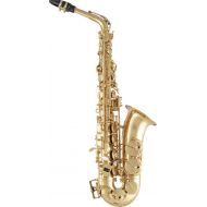 NEW
? Selmer SAS511 Intermediate Alto Saxophone - Lacquer