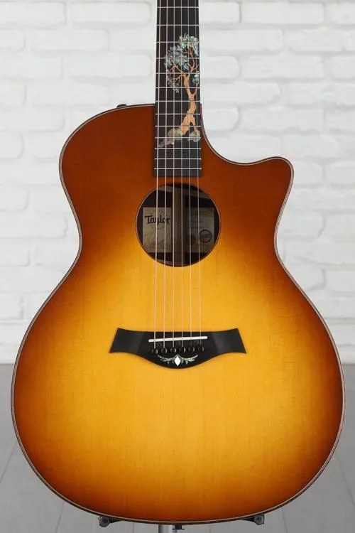  NEW
? Taylor Custom Catch #34 Grand Auditorium Acoustic-electric Guitar - Natural with Honey Yellow Top