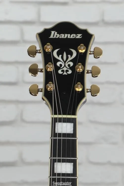  NEW
? Ibanez Artcore Expressionist AG95K Hollowbody Electric Guitar - Natural