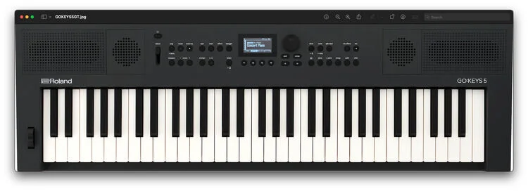  NEW
? Roland GO:KEYS 5 Keyboard - Graphite