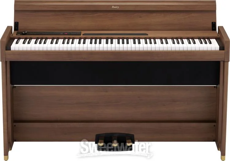  NEW
? Korg Poetry Chopin-inspired 88-key Digital Piano
