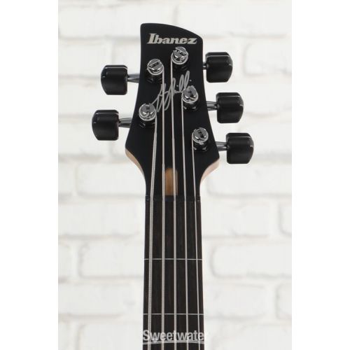  NEW
? Ibanez Gary Willis 25th-anniversary Signature 5-string Fretless Electric Bass - Silver Wave Burst Flat