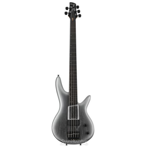  NEW
? Ibanez Gary Willis 25th-anniversary Signature 5-string Fretless Electric Bass - Silver Wave Burst Flat