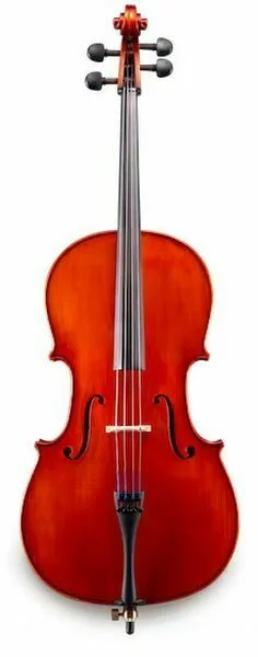  NEW
? Eastman VC100 Student Cello Outfit - 1/10 Size