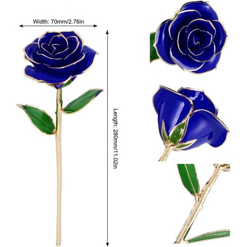  [아마존 핫딜] [아마존핫딜]NICEAO 24K Gold Foil Trim Blue Rose Flower Long Stem with Transparent Stand, Best Gift for Valentines Day, Mothers Day, Anniversary, Wedding, Birthday Gift, Treating Yourself (Blue