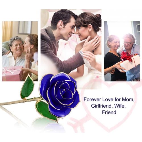  [아마존 핫딜] [아마존핫딜]NICEAO 24K Gold Foil Trim Blue Rose Flower Long Stem with Transparent Stand, Best Gift for Valentines Day, Mothers Day, Anniversary, Wedding, Birthday Gift, Treating Yourself (Blue