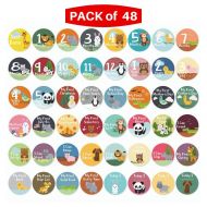 NOVARENA Massive Pack of 48 Baby Stickers, Baby Monthly Stickers, Popular Milestones Baby Stickers, Record Your Babys Growth, Holidays and Special Firsts, Unique Baby Gifts- Jungle Theme (4