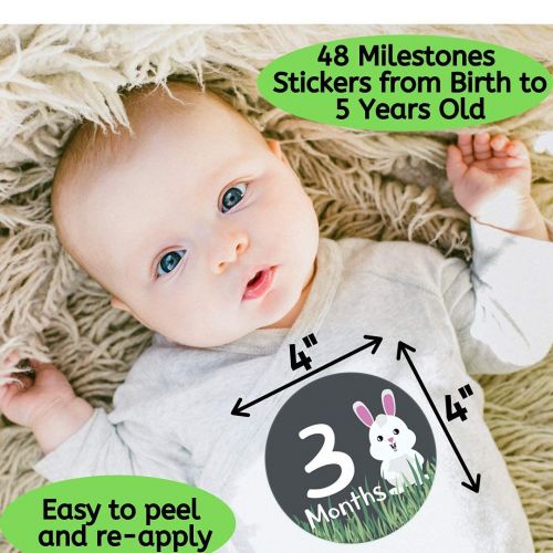  NOVARENA Massive Pack of 48 Baby Stickers, Baby Monthly Stickers, Popular Milestones Baby Stickers, Record Your Babys Growth, Holidays and Special Firsts, Unique Baby Gifts- Jungle Theme (4