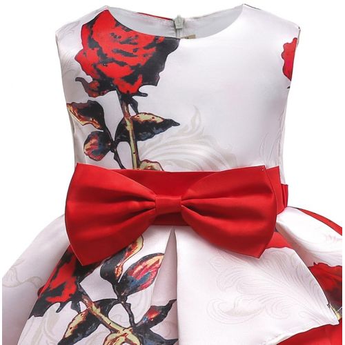 NSSMWTTC Flower Girls Pageant Party Dresses Kids Special Occasion Dress