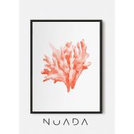 /NUADAstudio Nautical art, Sea life decor, Red Coral Art, Sea Prints, Sea coral art, Red Watercolor, Sea creature poster, Coastal wall print, Ocean art