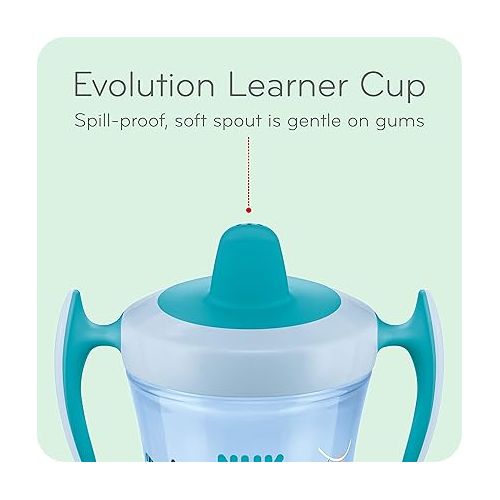 누크 NUK Evolution Straw Cup, 8 oz,2 Count (Pack of 1), Colors may vary