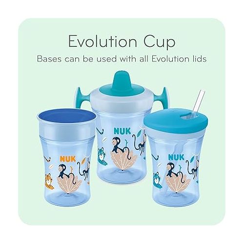 누크 NUK Evolution Straw Cup, 8 oz,2 Count (Pack of 1), Colors may vary