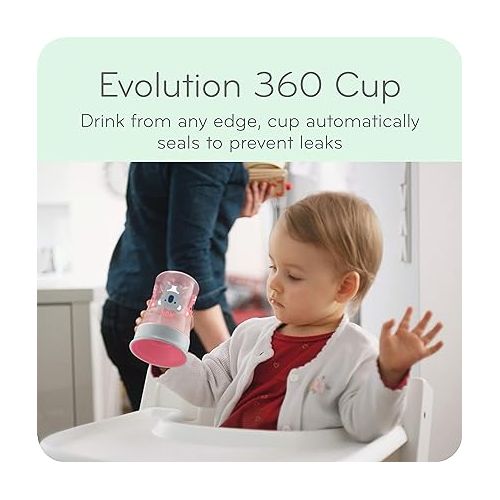 누크 NUK Evolution Straw Cup, 8 oz,2 Count (Pack of 1), Colors may vary