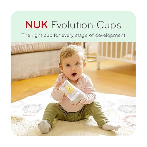 누크 NUK Evolution Straw Cup, 8 oz,2 Count (Pack of 1), Colors may vary