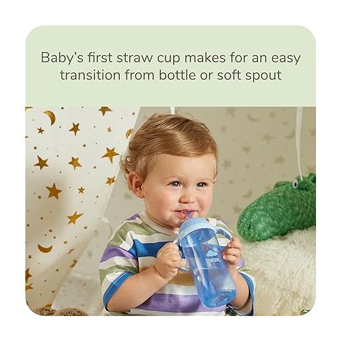 누크 NUK Learner Cup Replacement Straws, 2-Pack