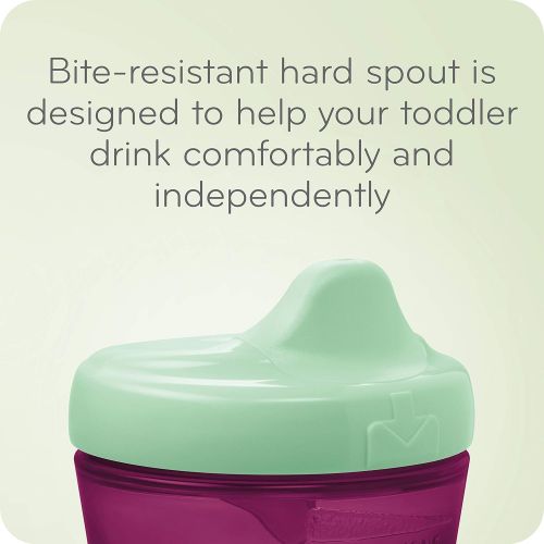 누크 NUK Hide n Seek Hard Spout Sippy Cup, 10 oz, 2 Pack, 9+ Months