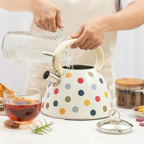  [아마존베스트]N/W Kettle Induction Stainless Steel Gas Stove Camping Whistling Kettle Kettle for Stoves Tea Kettle for Outdoor Picnic Hiking 3L