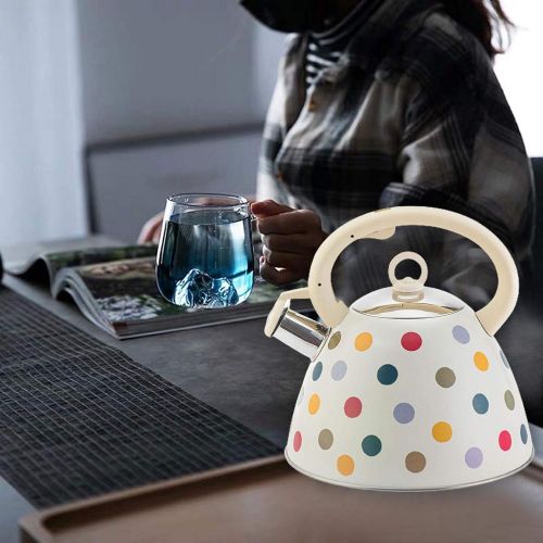  [아마존베스트]N/W Kettle Induction Stainless Steel Gas Stove Camping Whistling Kettle Kettle for Stoves Tea Kettle for Outdoor Picnic Hiking 3L