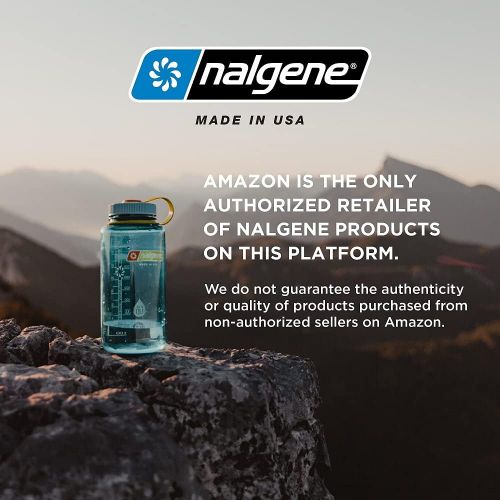  Nalgene Tritan On The Fly Water Bottle, Clear with Blue/White, 24Oz