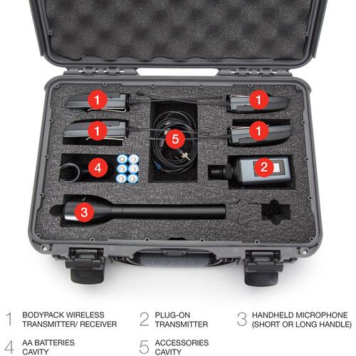  Nanuk 910 Waterproof Hard Case for Sennheiser ENG and Senal (Graphite)