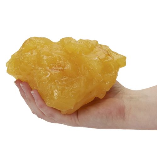  Nasco WA14533 Human Body Fat Replica, 1 lb.