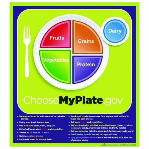  Nasco Fort Atkinson MyPlate Laminated Poster with Key Phrases, 18 Length x 24 Width