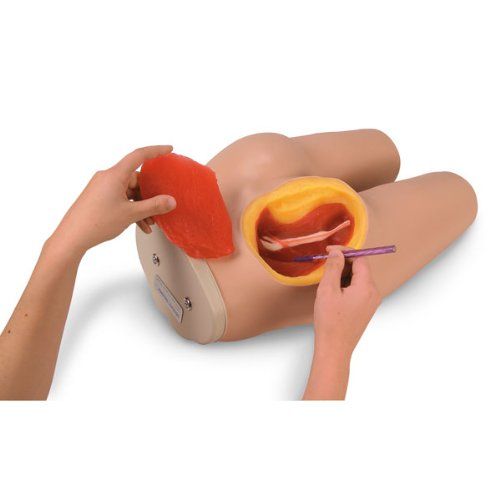  Nasco - Intramuscular Injection Simulator