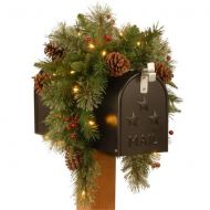 National Tree 36 Colonial Mailbox Swag with Battery Operated Warm White LED Lights