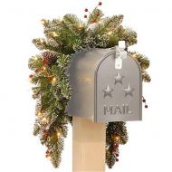 National Tree 3 Glittery Mountain Spruce Mailbox Swag with White Edged Cones, Red Berries and 35 Warm White Battery Operated LEDs with Timer